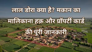 लाल डोरा ज़मीन पर बने मकान और प्रॉपर्टी कार्ड की जानकारी